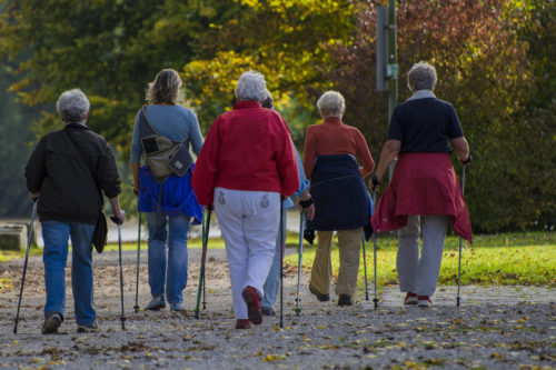 Netzwerk, Kaufbeuren, Ostallgäu, Demenz, Demenzhelferschulung, Schulung, Weltalzheimertag, Palliativ, stationär, ambulant, Hospiz, SAPV, Krankenhaus, Anschlussbehandlung, Rehabilitation, Altenheim, Pflegeheim, Versorgung, Senioren, Aktivitäten, Pflege, Pflegeservice, Hospitalstiftung, Seniorenbeirat, Seniorenbüro, Hilfe, pflegende Angehörige, Alzheimer, Betreuung, Unterstützung zu Hause, haushaltsnahe Dienstleistungen, Unterstützung im Alter, Demenzkrank, Hilfe bei Demenz, Beratung, Seniorenbegleiter, Besuchsdient, ehrenamtlich, Helfer, vernetzt